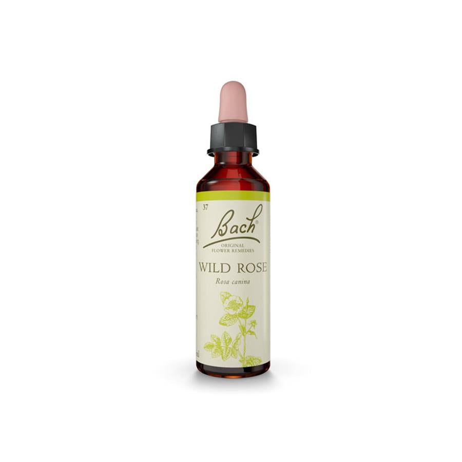 Floral de Bach Wild Rose (Motivação) 20ml