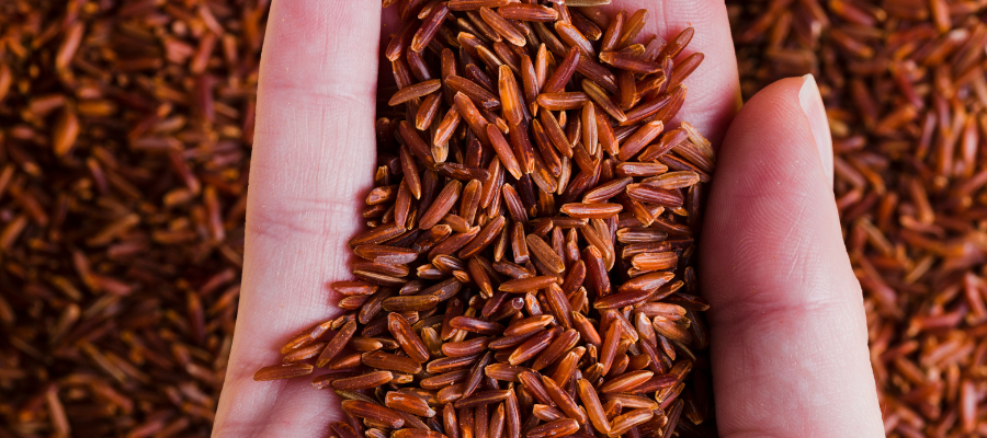 Mão com arroz vermelho