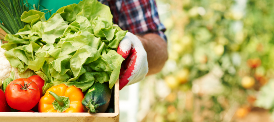 Agricultor com cesta de legumes a promover o consumo sustentável
