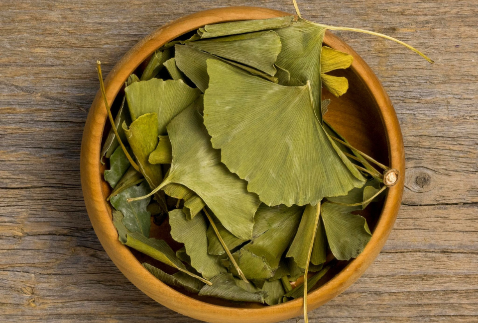 Taça de madeira com folhas de ginko biloba