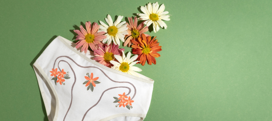 peça de roupa interior feminina a representar a zona íntima da mulher 