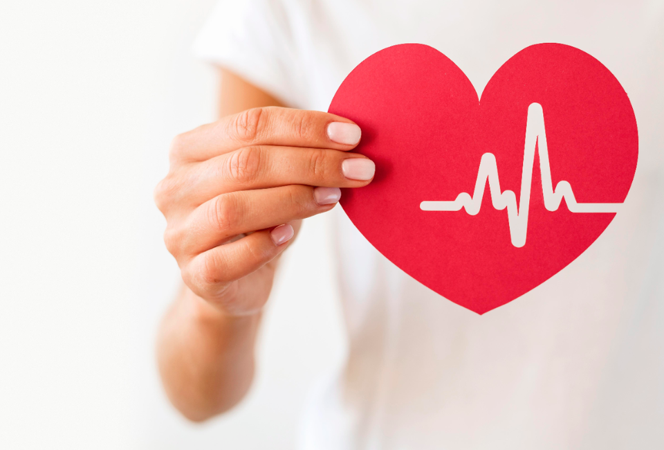 Uma mulher segura um recorte de coração vermelho com um gráfico de eletrocardiograma branco contra um fundo branco.