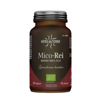 Hyphae of the Earth Mico-Rei 70 Capsules