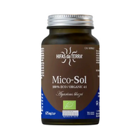 Hyphae of the Earth Monkey-Sun 70 Capsules