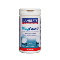 Lamberts MagAsorb 60 Comprimidos