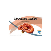 O Tio d'Abelha Ganoderma Lucidum 20 Ampolas