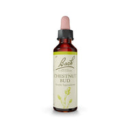 Floral de Bach Chestnut Bud (Sabedoria) 20ml