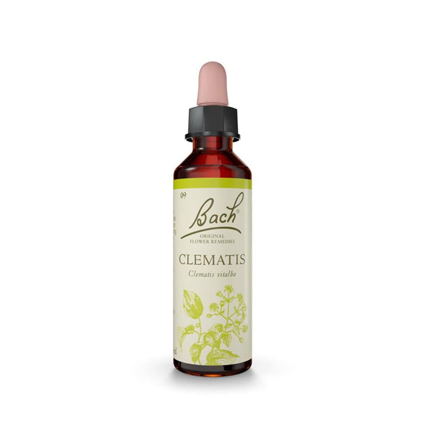 Floral de Bach Clematis (Atenção) 20ml