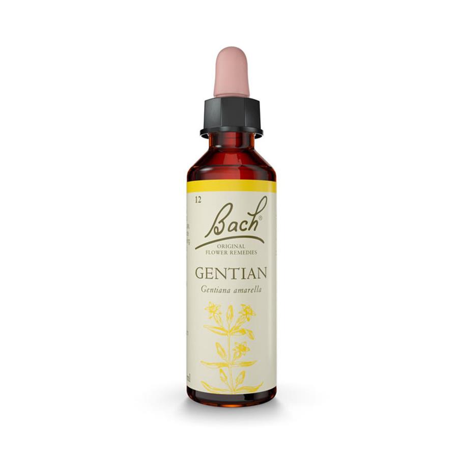 Floral de Bach Gentian (Perseverança) 20ml